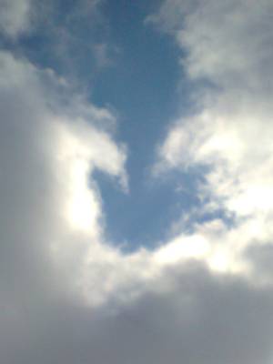 ����,���������� �������