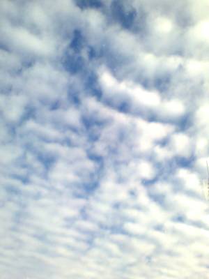 ����� ������