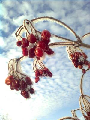 ������ �� ���� ����