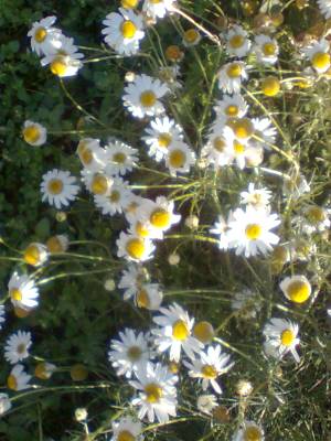 ���������� ������