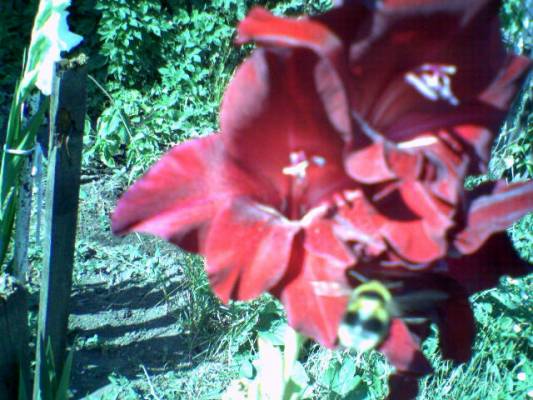 �����,������� � ����������