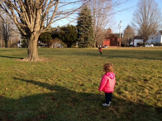 �� ���� ����� �� �������� �����