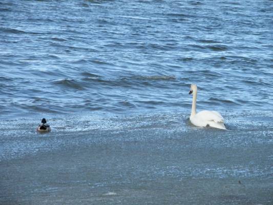 �� ������ ����!