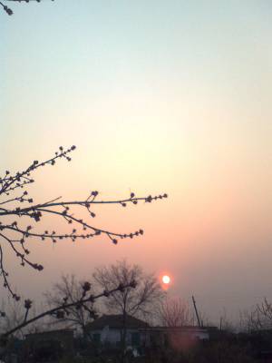 �������� �����