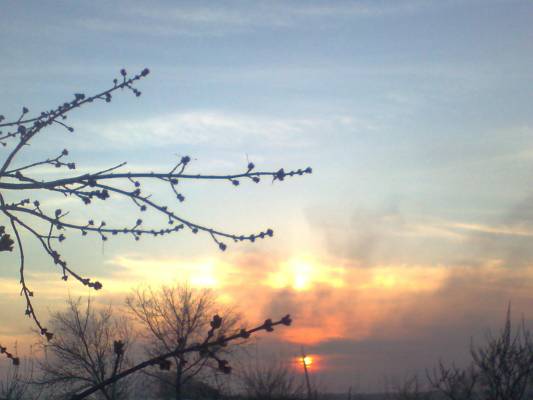 �������� �����