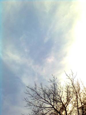 ������� ����