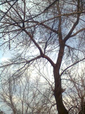 ���������� ���