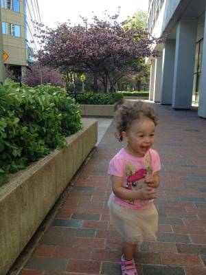 ������� ����� ������ (������ �����)