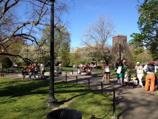 ������� ��������� � �������:)) ����� - �����:)