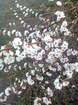 �������� ������������� ������