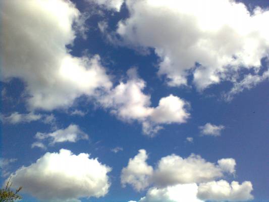 ���� �������