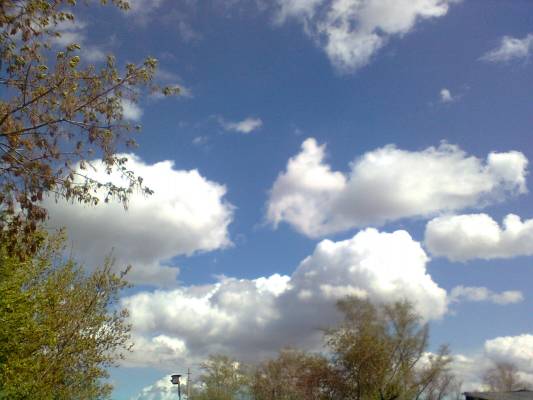 ���������� ����