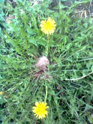 ��������� ���� �����