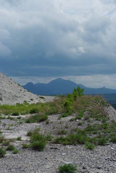 ����� ������