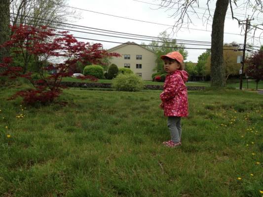 ������� �������� ������ ����� ������:)