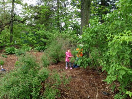 �������� �� ����, ����� �� ���� �����:)