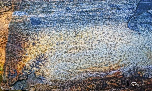 ������� ������ �� �����