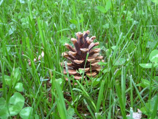 ����� � �����