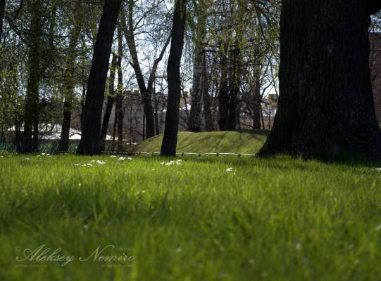 � ������������ ����