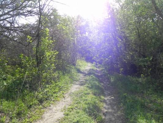 ������� ��������