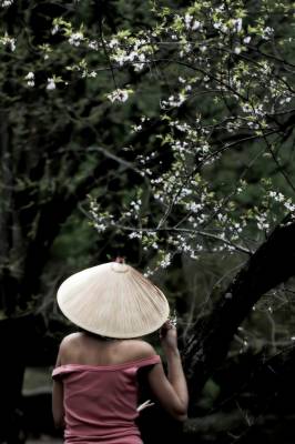 � ������ ������ �������