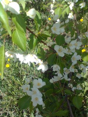 ��������� �������