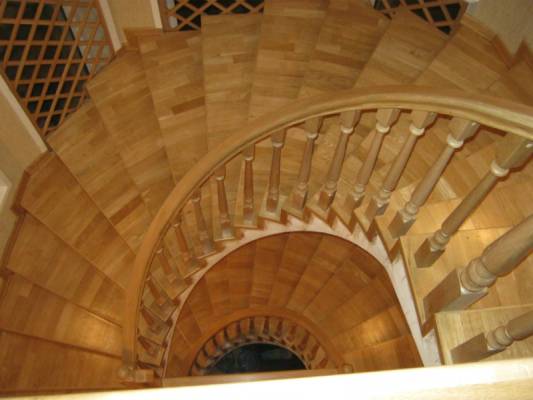 ��� ������