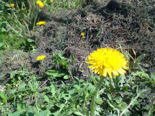 ��������� �������