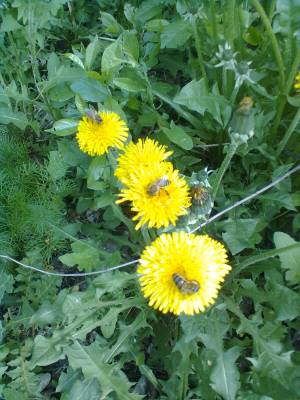 A ����� ����� ��!!!