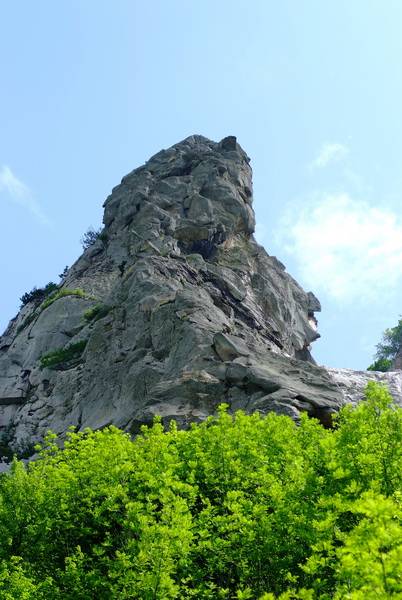 �������� ���