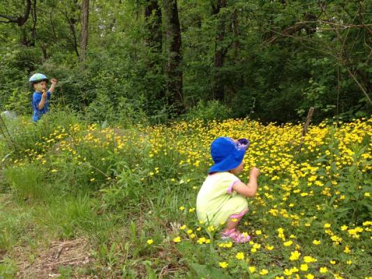 ������, ��� ������, ��� ����������, ���� �� ���:)