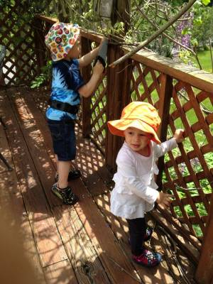 �������� ������ ������� ���� �����