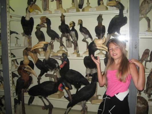 � ��������