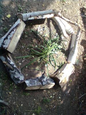 ��������� ������