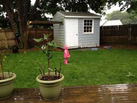 ������ � �����