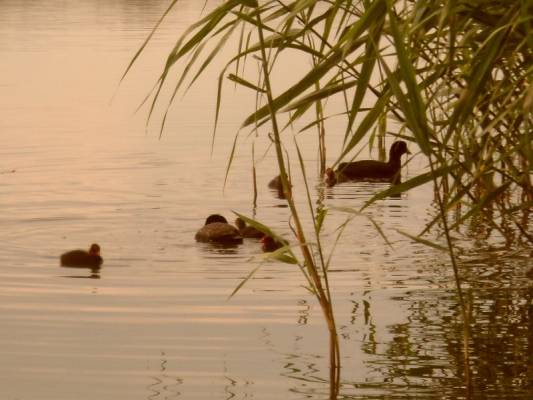 �������.