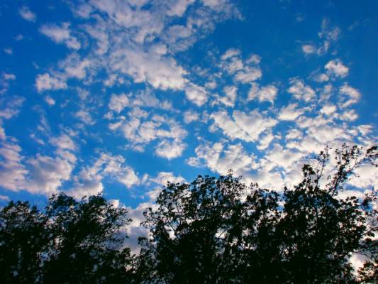 ����������...