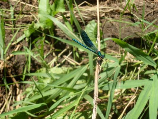 � ��������...