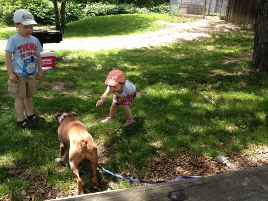 �������� ���: ��� �����!