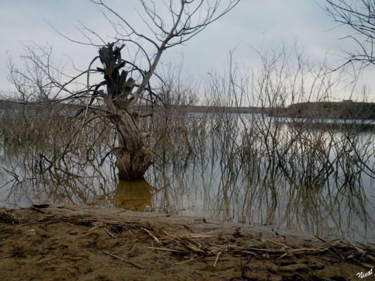 �������� ������