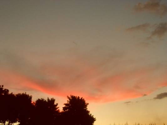 ���� �� ������