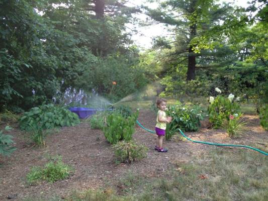 ������ ��������� ��������, ������ ������ ����� � ����������