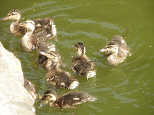 ���������  next