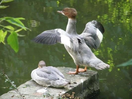 � ��� ������ �����!