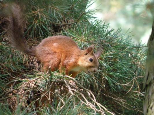 �������� ����!