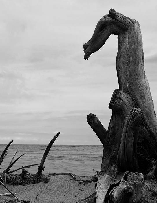 ������ :).