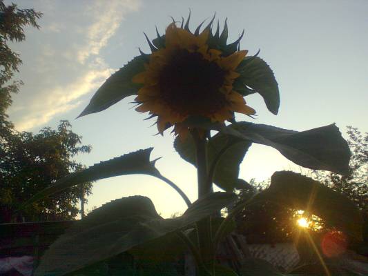 ���� �� �����