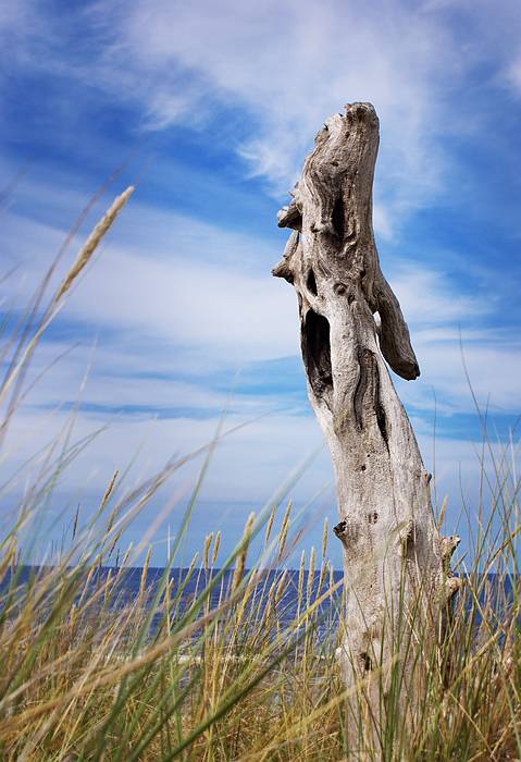 �� �.����� :).