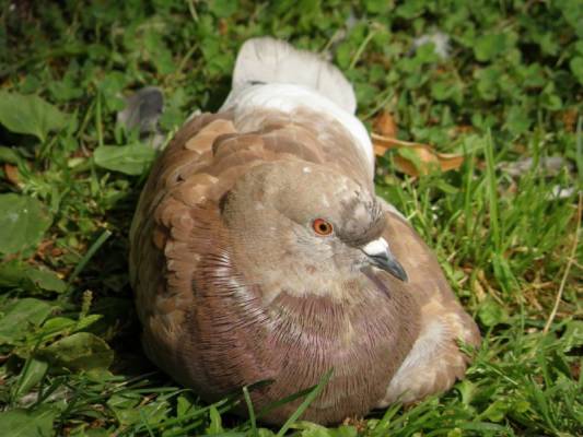 �������