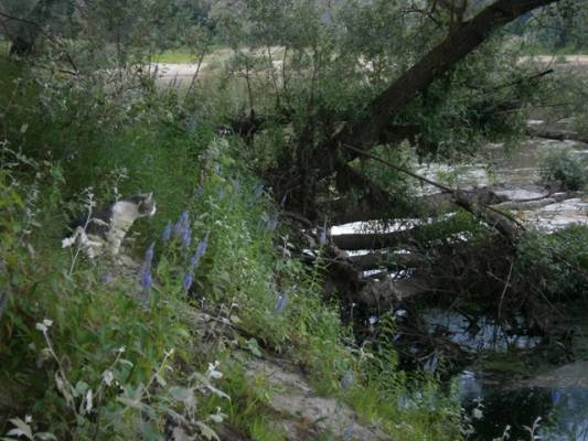 ��� �� �����